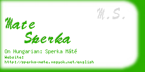 mate sperka business card
